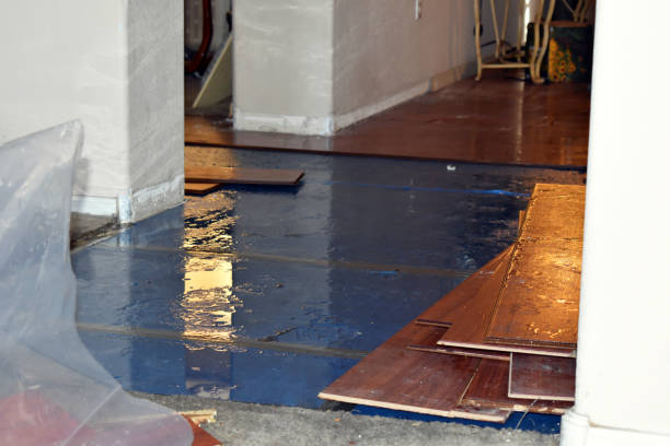 Professional Burst Pipe Cleanup technician working in Wahkon, MN
